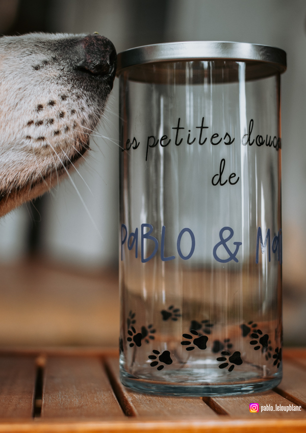 Pot à friandise animaux