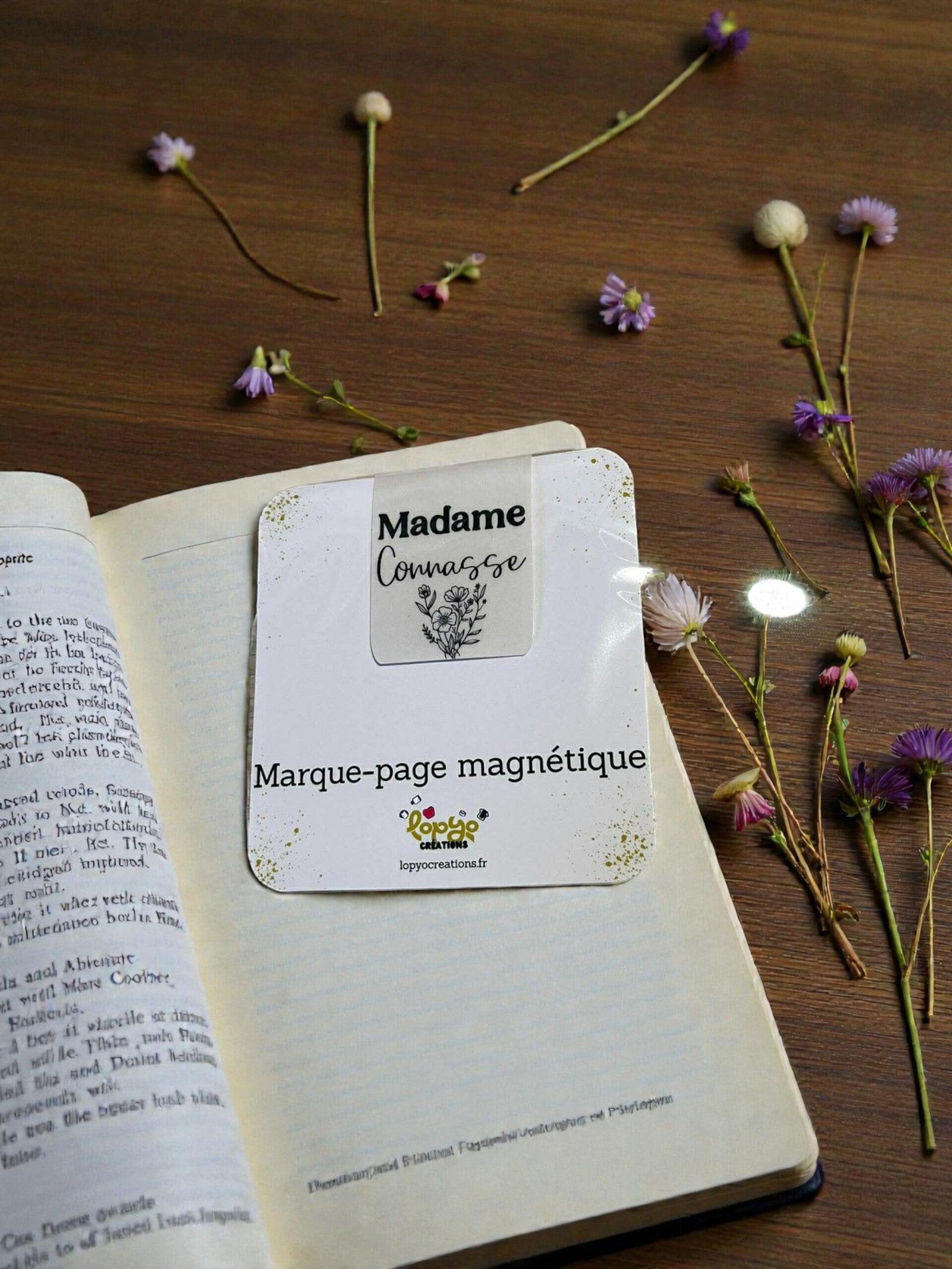 Marque-page magnétique