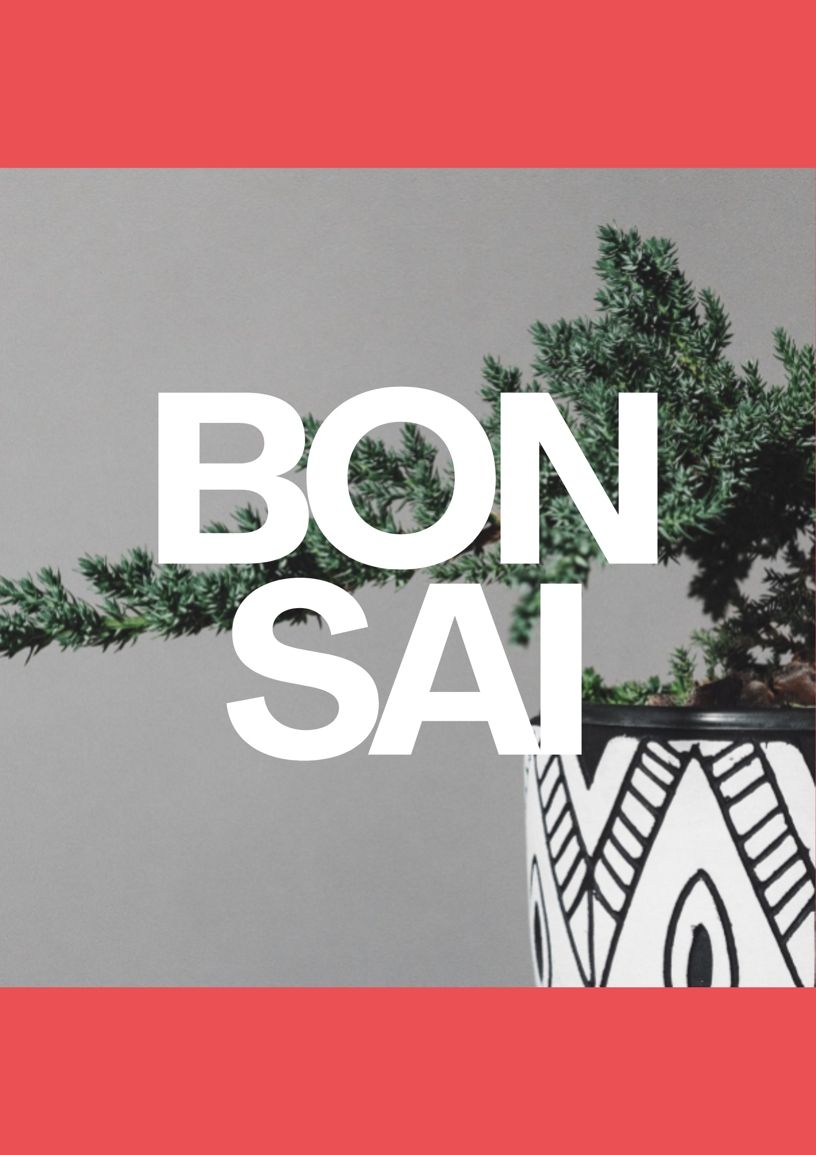 Vind jouw hobby met deze gids