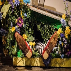13-wizard-of-oz-2-standard-g3soho.jpg