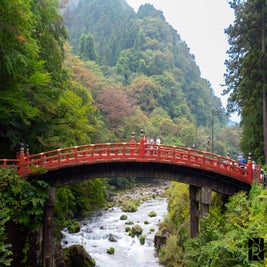 japan23-4133-standard-mekw3e.jpg
