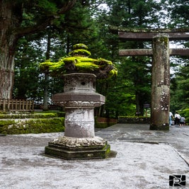 japan23-4162-standard-ygk3h5.jpg