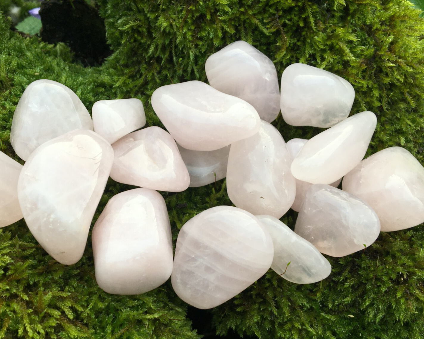 Rozenkwarts getrommeld 5 - 20 gram