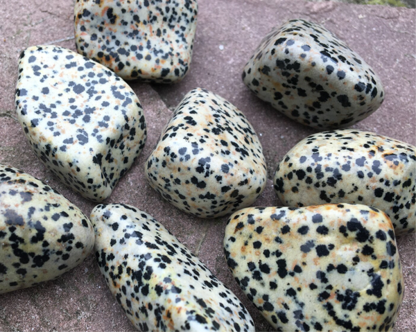 Dalmatiër Jaspis getrommeld 25 - 50 gram