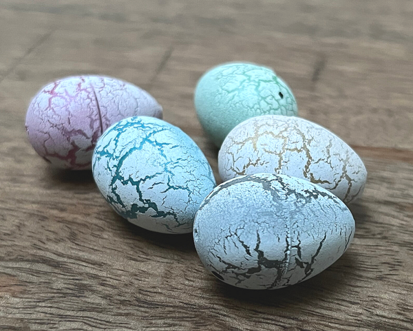 Dinosaur Egg Growing Pet 5 stuks