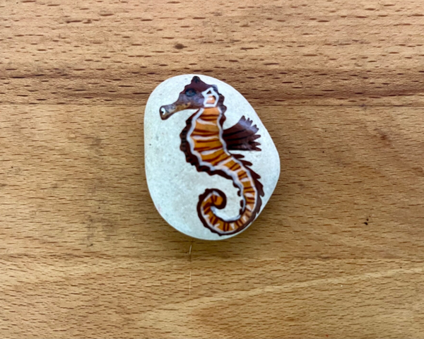 Koelkastmagneten Zeepaardje Bruin 1 stuks