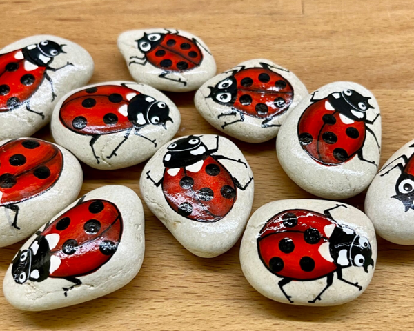 Koelkastmagneten Lieveheersbeestje 5 stuks