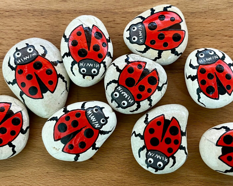 Koelkastmagneten Ladybug 5 stuks
