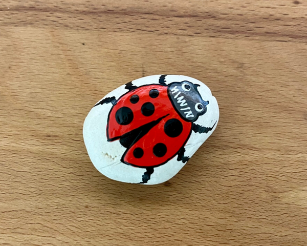 Koelkastmagneten Ladybug 1 stuks