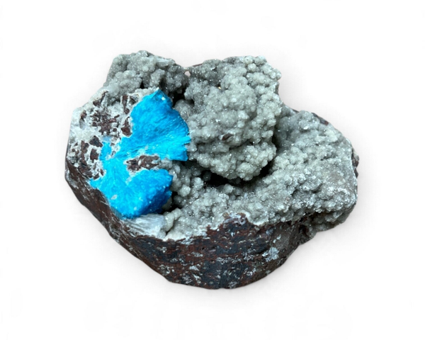 Cavansiet 175 gram
