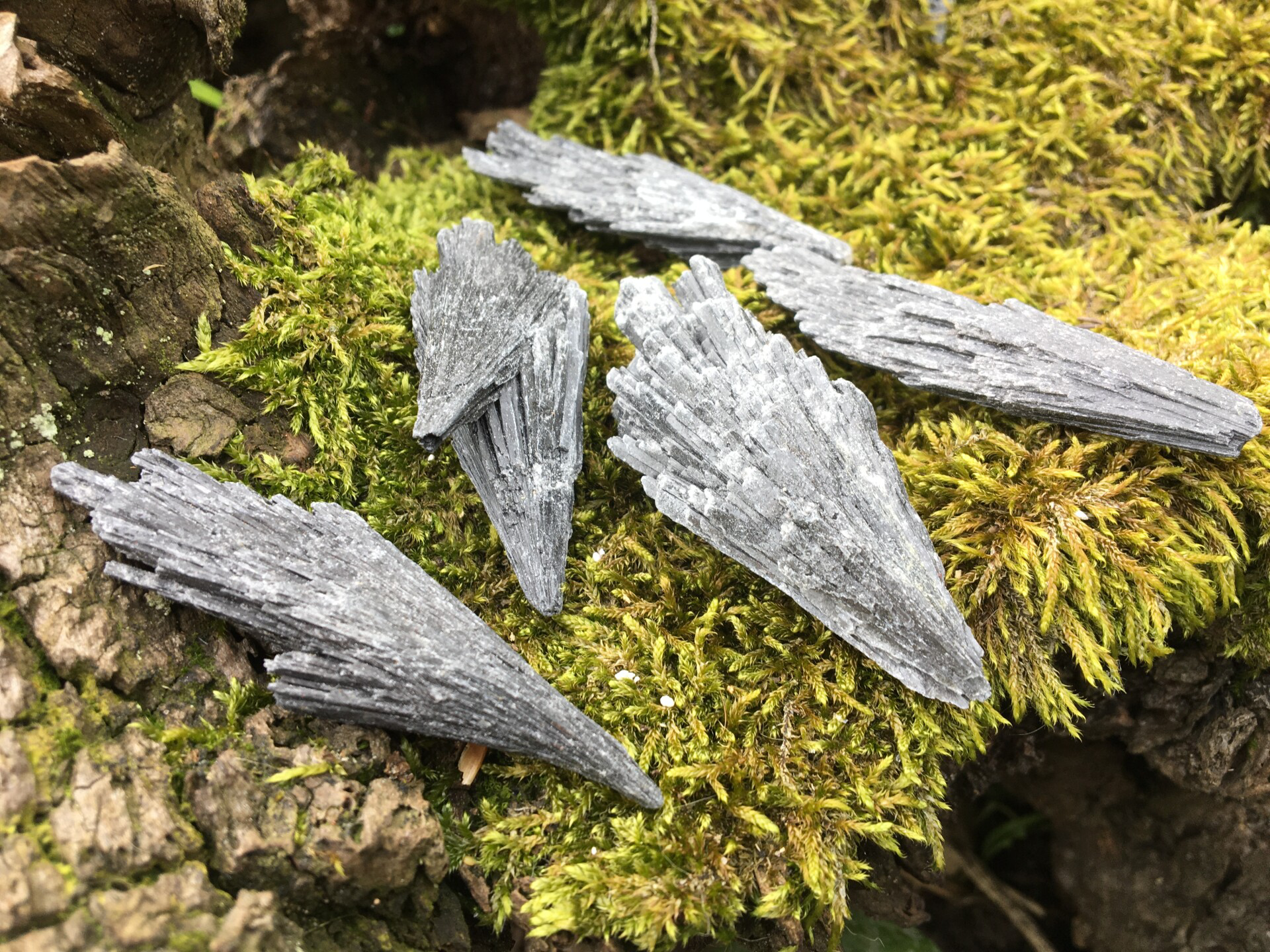 Zwarte Kyaniet ruw 5 - 10 gram