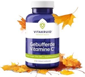 Vitakruid Gebufferde Vitamine C  90 capsules