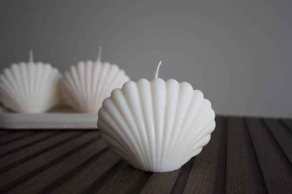 Sea shell