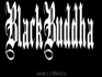 BlackBuddha and the Wild Blue Angels