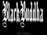 BlackBuddha and the Wild Blue Angels