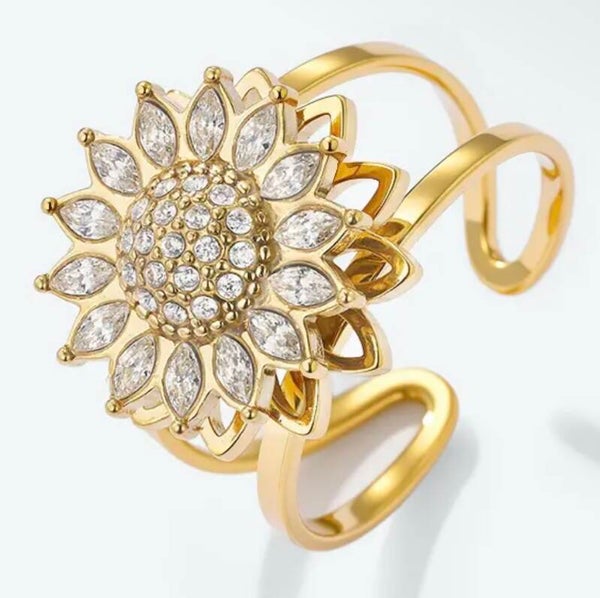 Bague en acier inoxydable