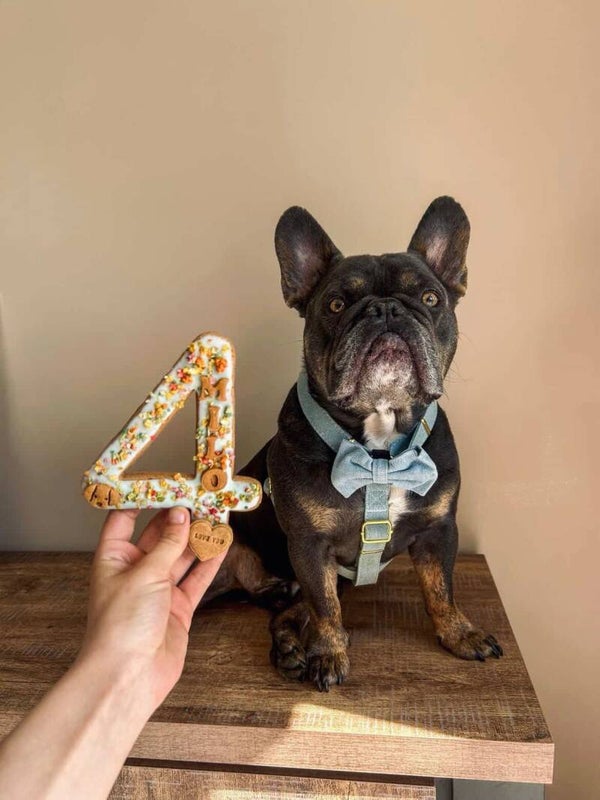 Barkday cijfer