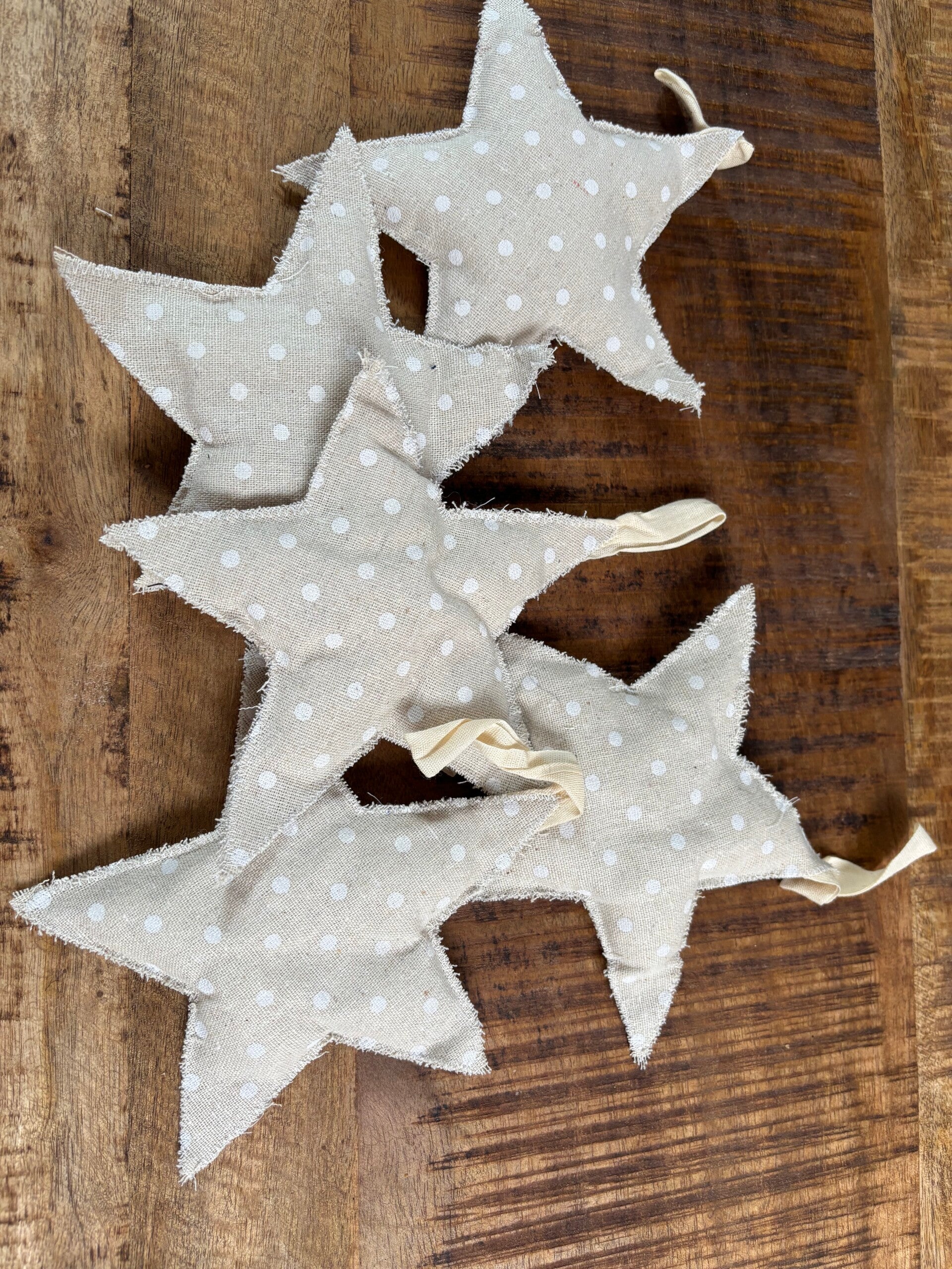 Kerststerren stip bundel