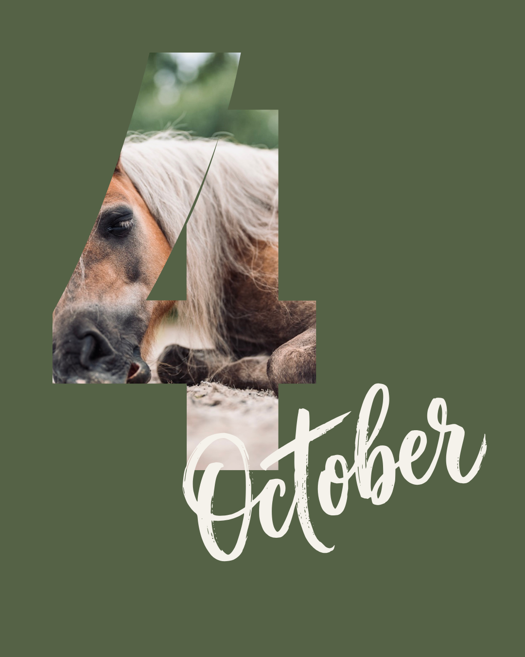 Kennismakingssessie | zondag 4 oktober - 9.30 uur