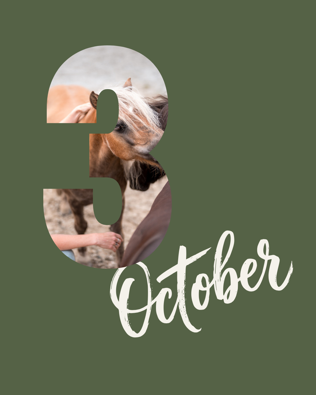 Kennismakingssessie | zaterdag 3 oktober - 12.30 uur