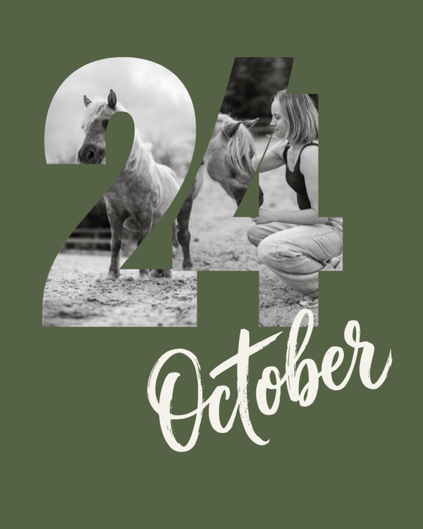 Kennismakingssessie | zaterdag 24 oktober - 9.30 uur
