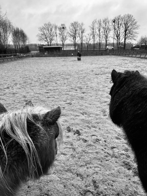Persoonlijk traject - 6 maanden