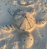 Trenton The Traveling Turtle