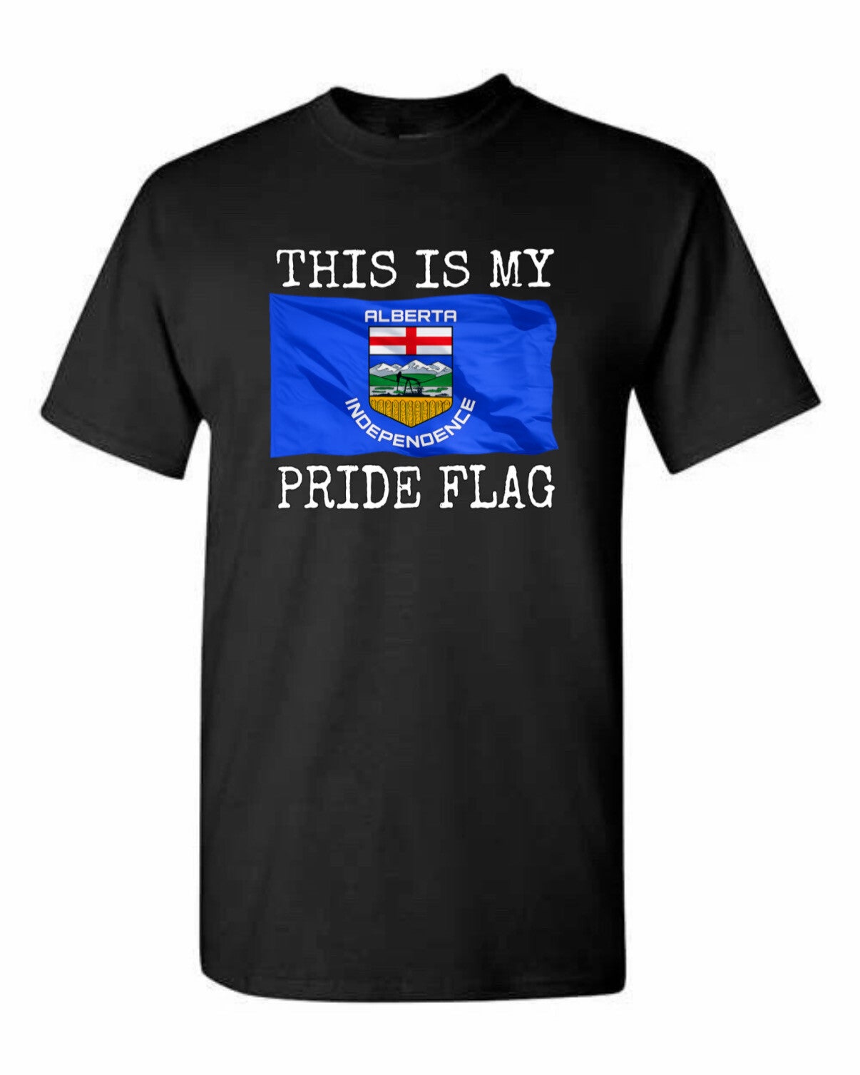 This is my pride flag t shirt
