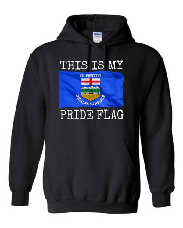 This is my pride flag hoodie