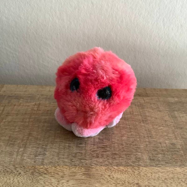 Ty inktvis octopus Sheldon