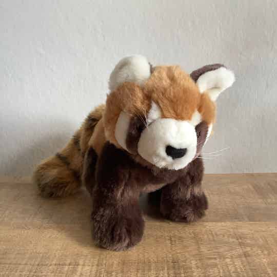 Nature planet rode panda