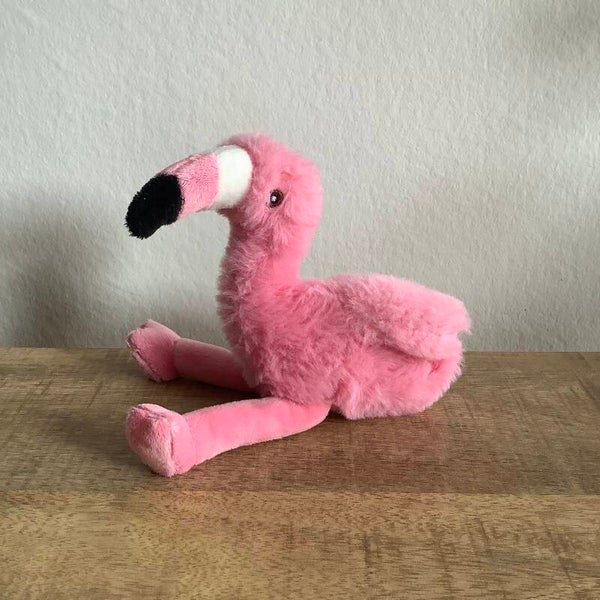 Nature planet flamingo