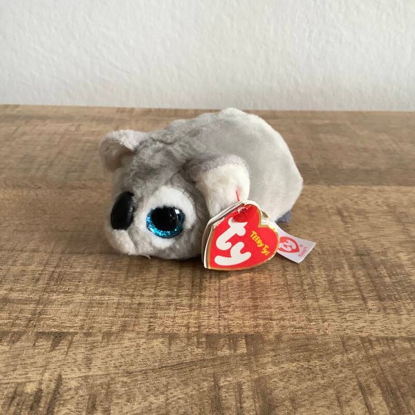 Ty teeny ty's koala Kaleb