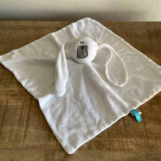 Hema hond met grijze snuit