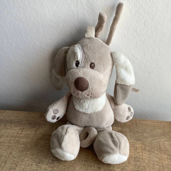 Tiamo muziek hond Sem