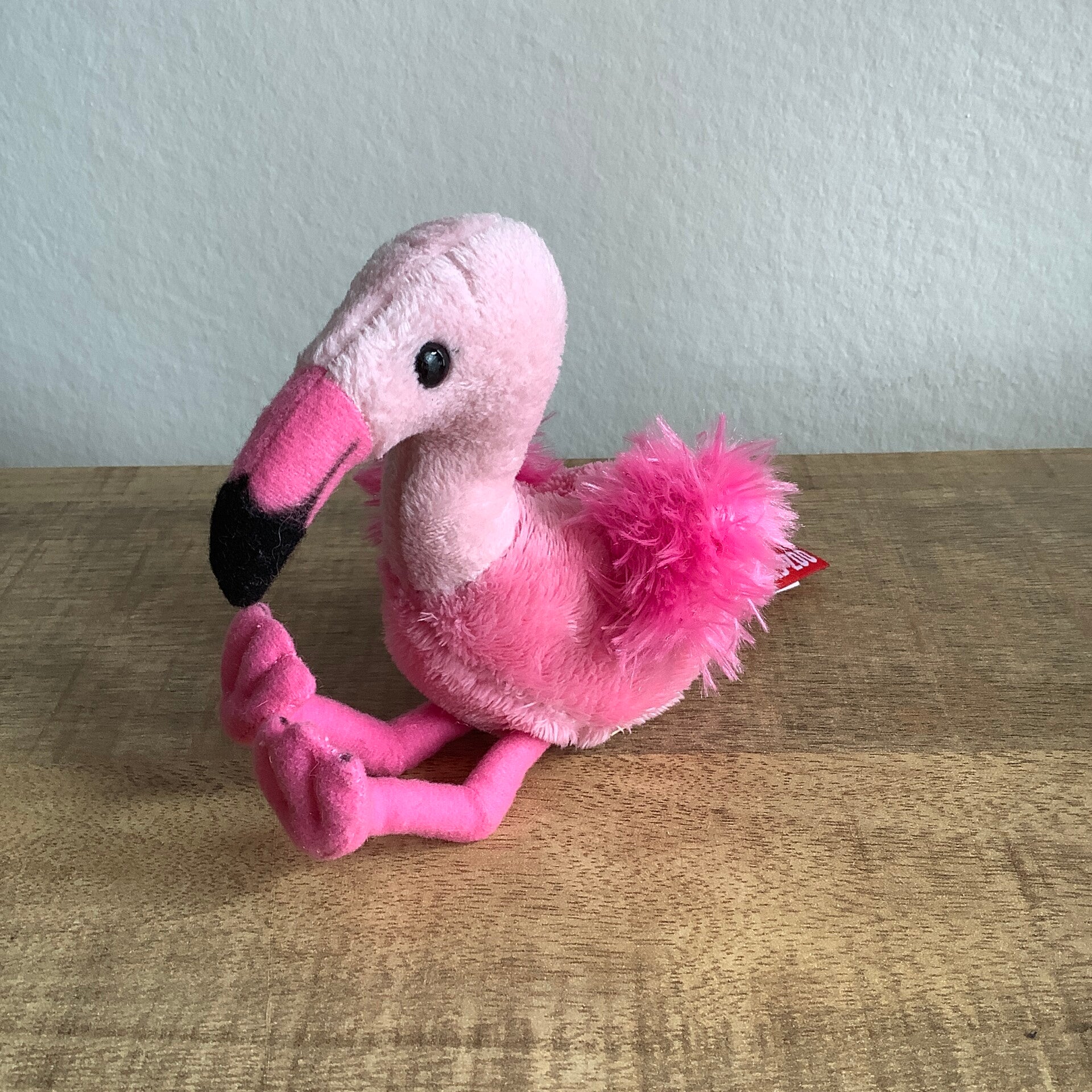 Burgers zoo flamingo