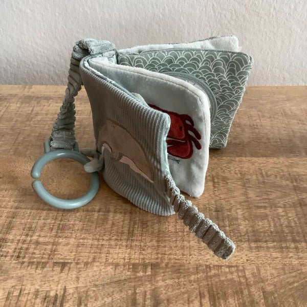 Little dutch buggyboekje