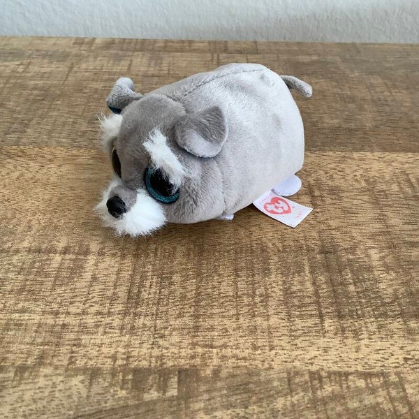 Ty teeny ty's hond Jack