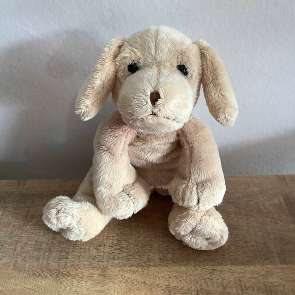 Happy horse hond Herald