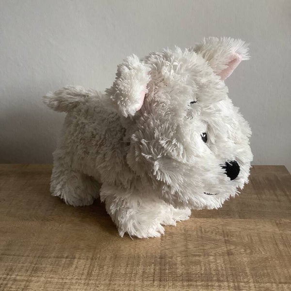 Happy horse hond Dusty