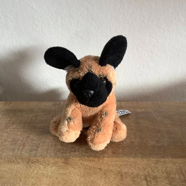 Zoo parc overloon wilde hond