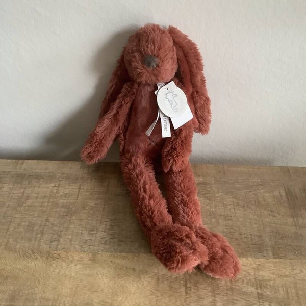 Happy horse konijn richie