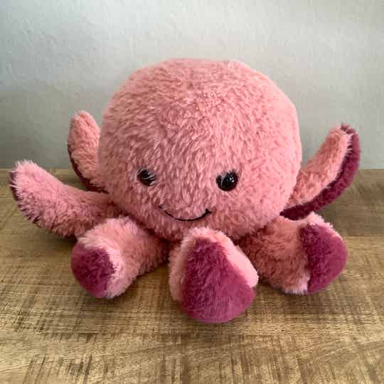 Evora inktvis octopus