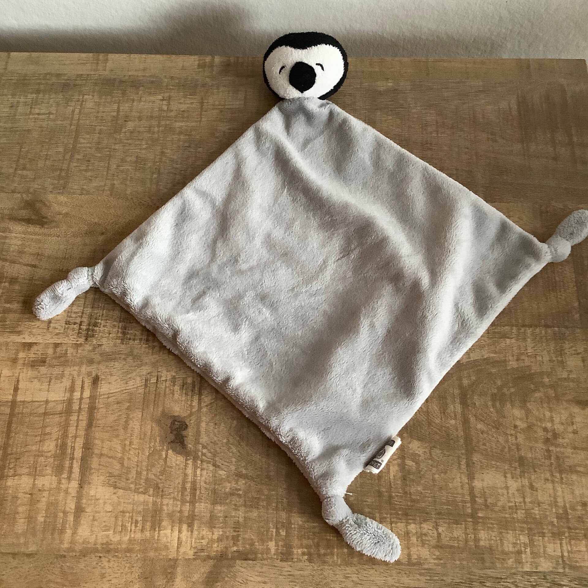 Nature planet pinguin