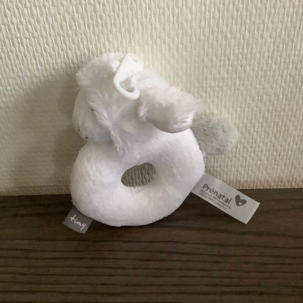 Prenatal schaap rammelaar