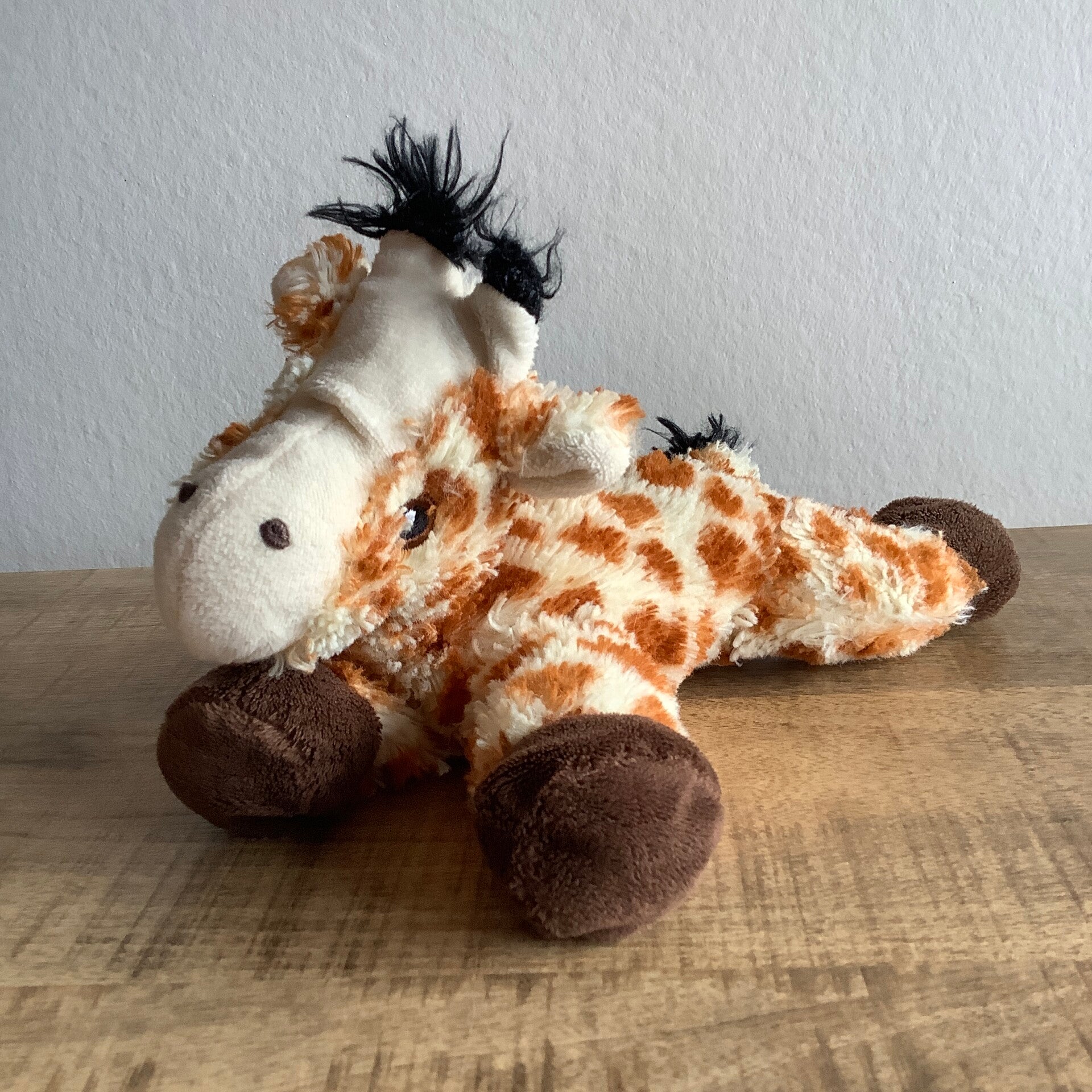 Nature planet giraffe