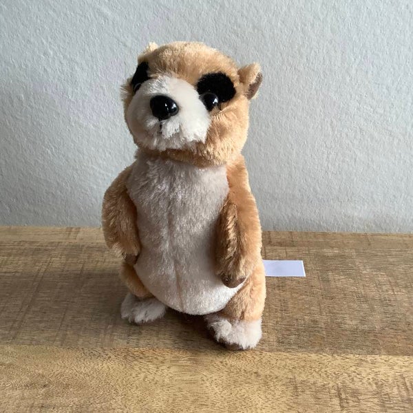 Minifeet stokstaartje