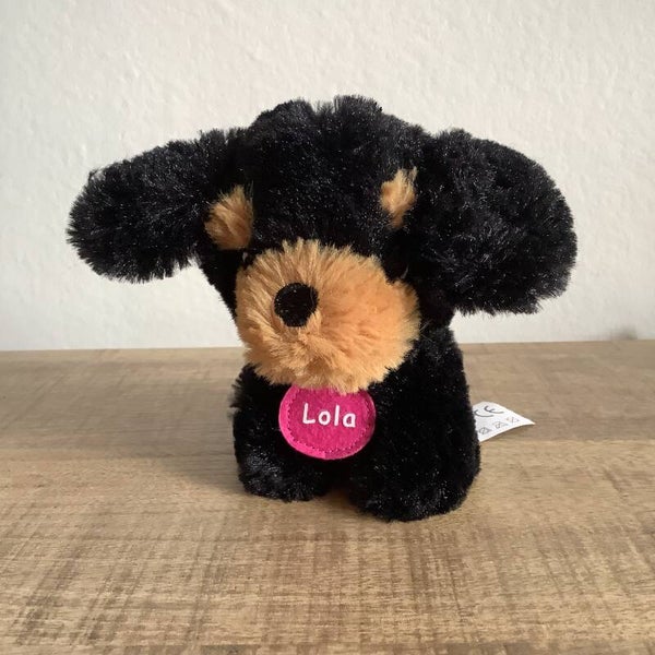 ZD trading hond Lola