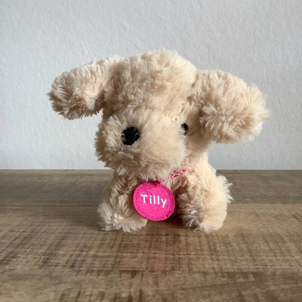 ZD trading hond Tilly