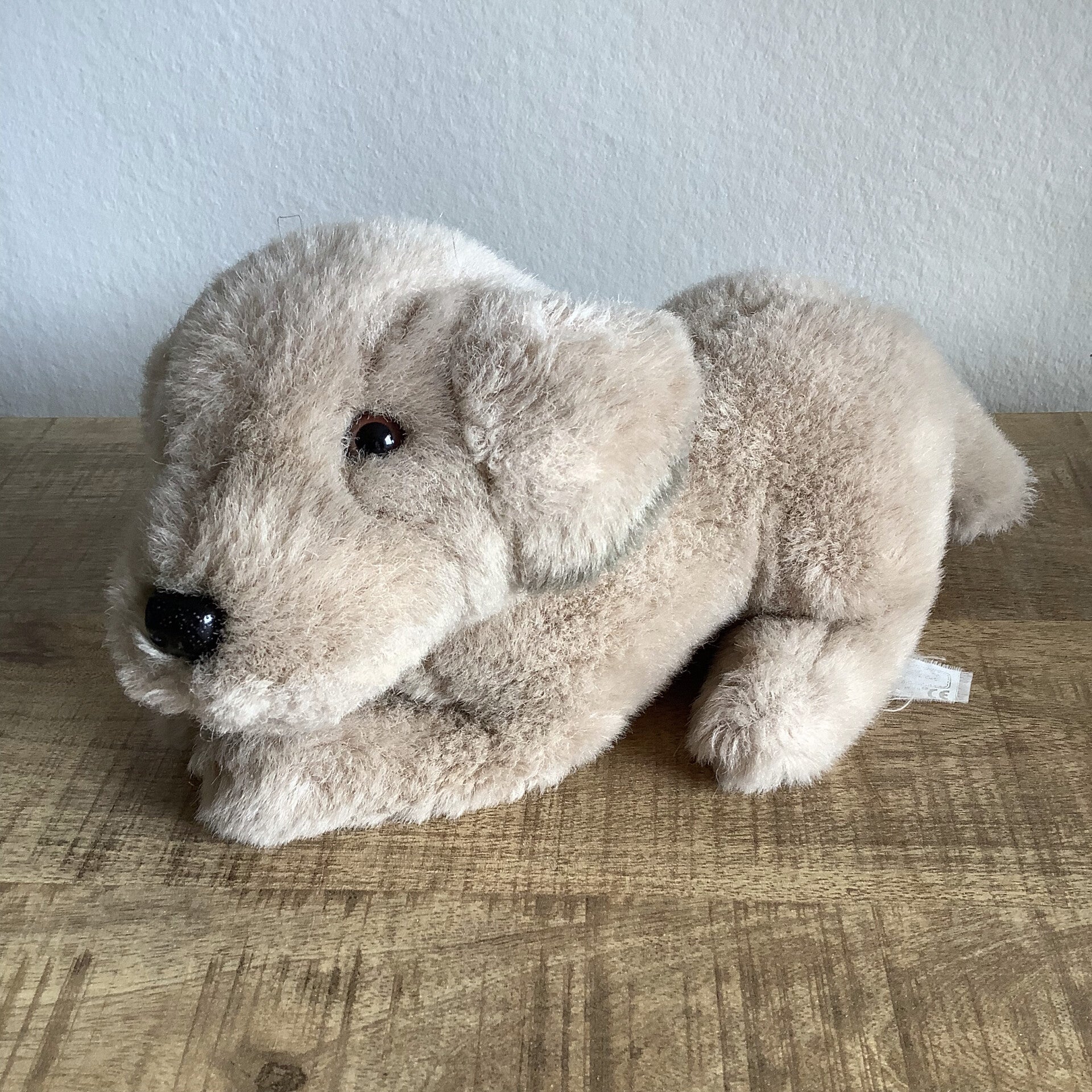 Anna Club Plush hond
